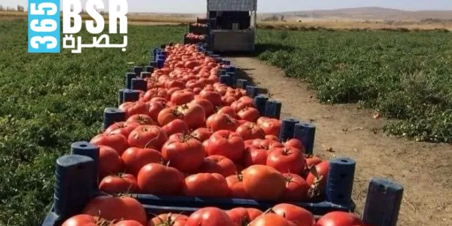 ارهعا 660x330 1