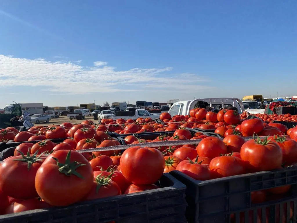 WhatsApp Image 2024 02 15 At 10.50.20 PM