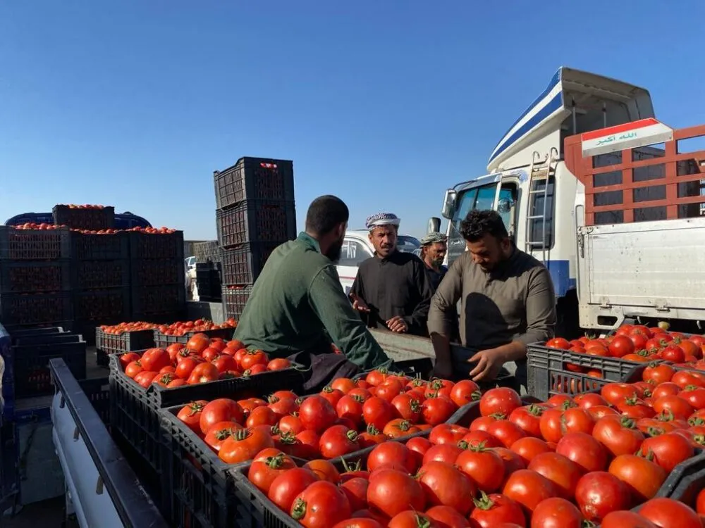 WhatsApp Image 2024 02 15 At 10.50.23 PM