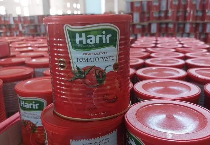 WhatsApp Image 2024 02 15 At 11.37.48 AM