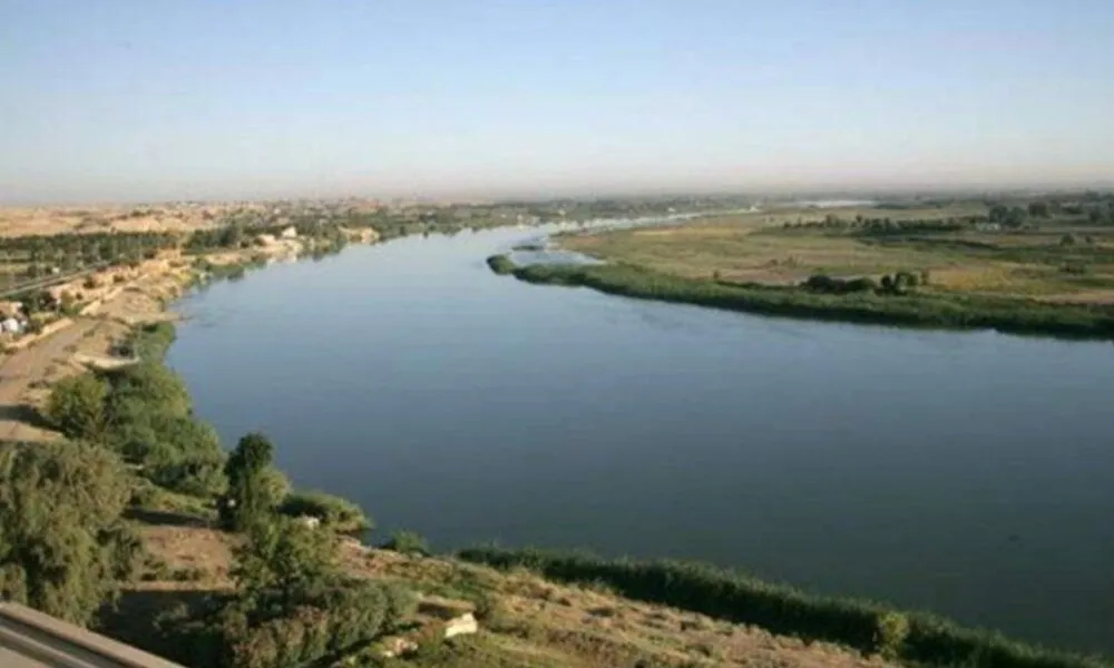 WhatsApp Image 2024 02 19 At 7.06.29 PM