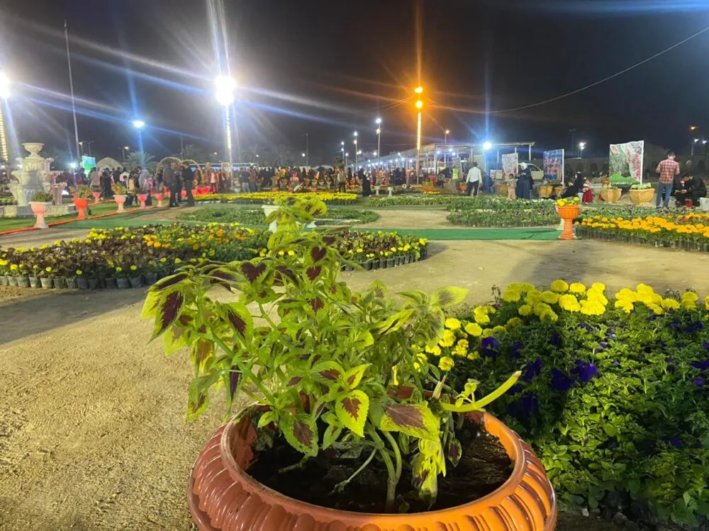 WhatsApp Image 2024 02 23 At 8.59.11 PM 1