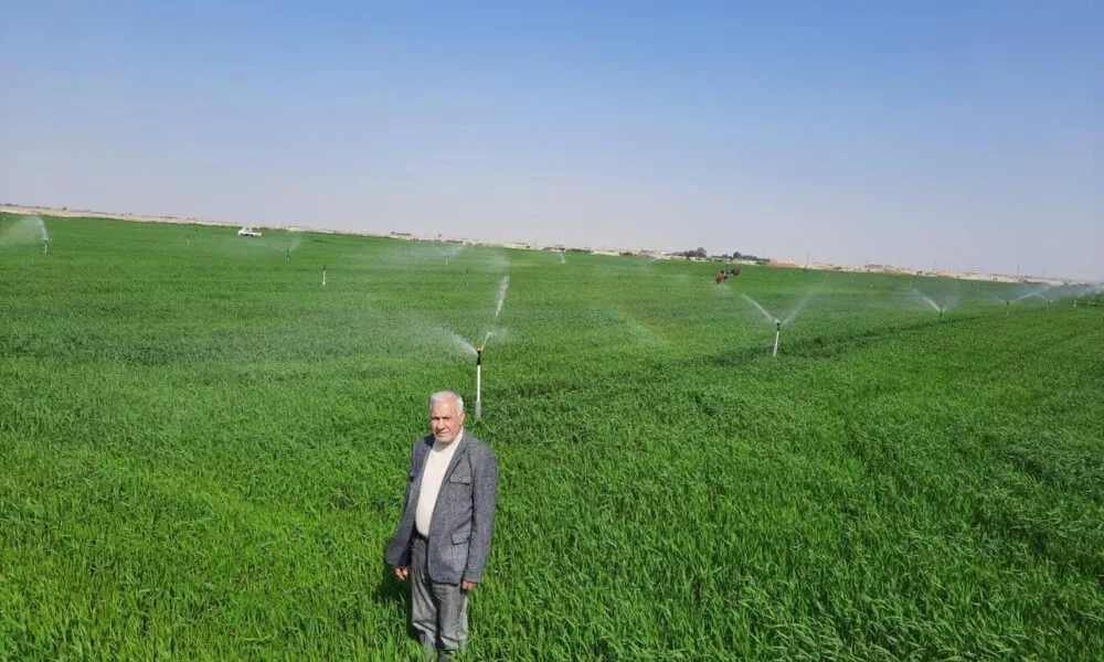 A1294fbd 0d7a 40d3 B6ce 6b7682735f91