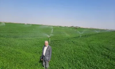 A1294fbd 0d7a 40d3 B6ce 6b7682735f91