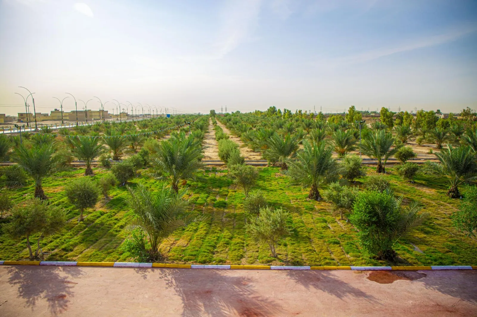 B53bd2a9 95f5 40cf A223 3f4923203b8b