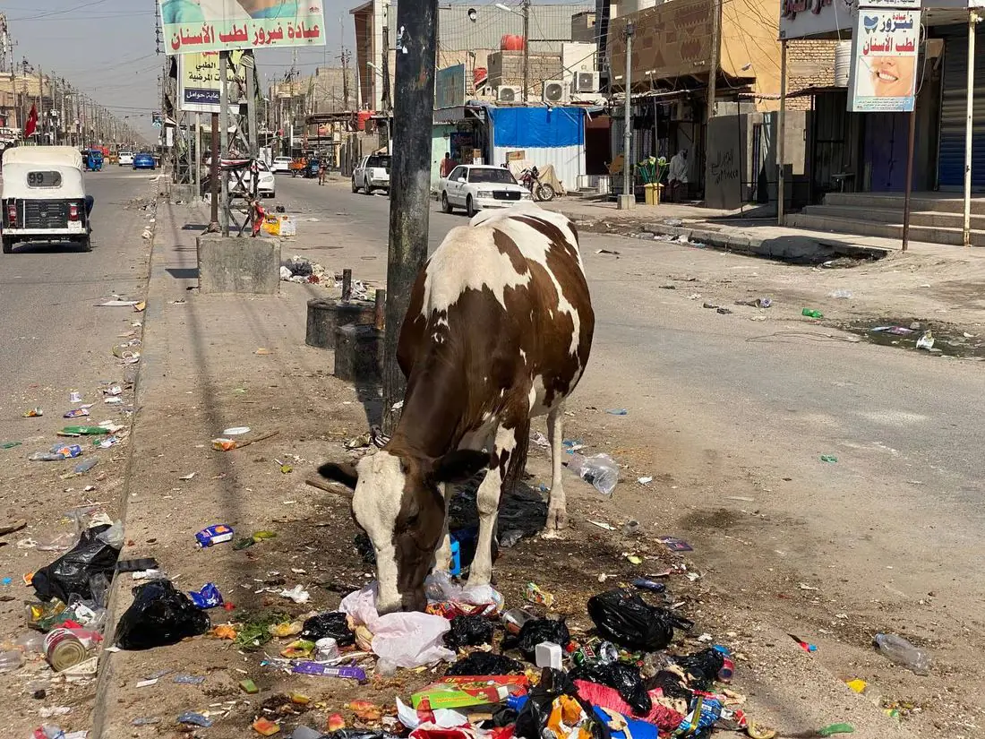 WhatsApp Image 2024 03 04 At 1.16.16 PM