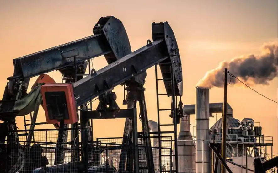 WhatsApp Image 2024 03 07 At 7.35.03 PM