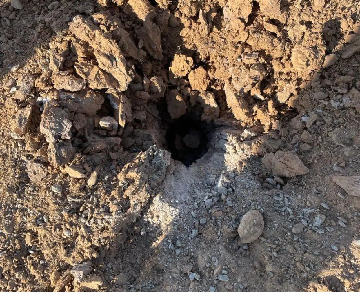 WhatsApp Image 2024 03 08 At 6.24.52 PM