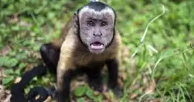 WhatsApp Image 2024 04 05 At 12.34.36 AM