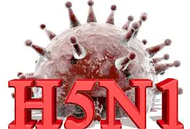 WhatsApp Image 2024 04 19 At 5.47.45 PM