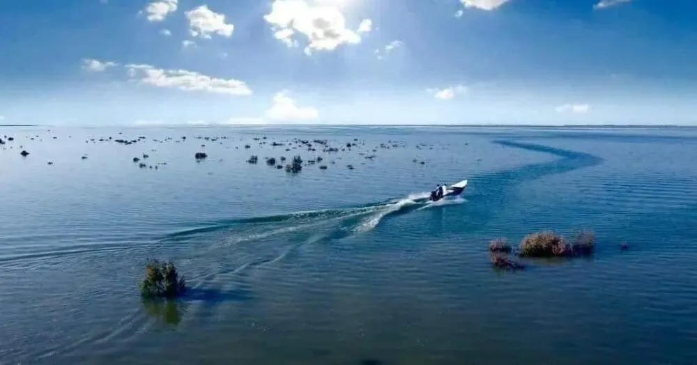 WhatsApp Image 2024 04 22 At 8.48.19 PM 1 1