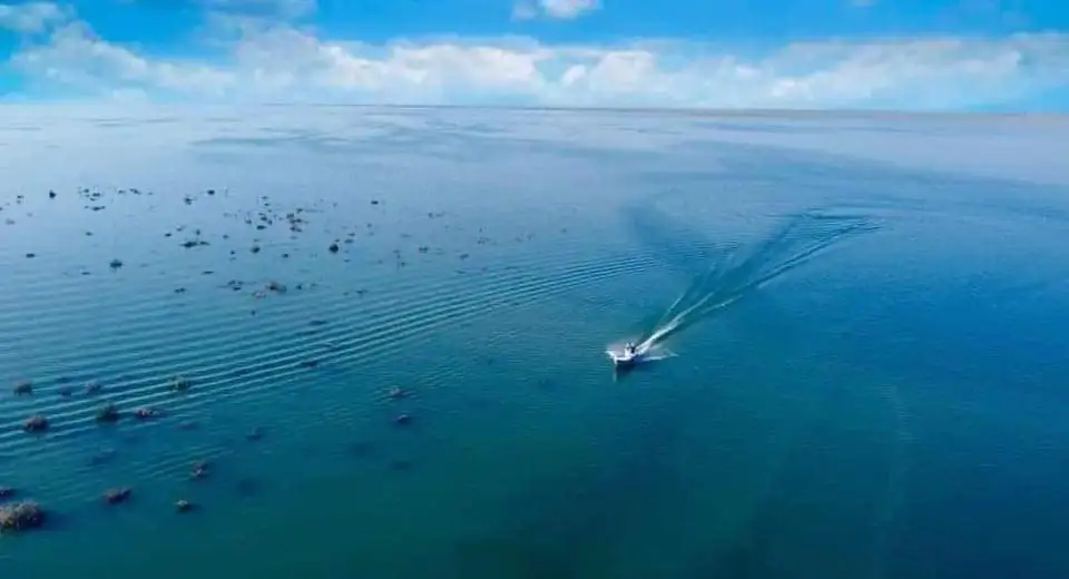 WhatsApp Image 2024 04 22 At 8.48.20 PM