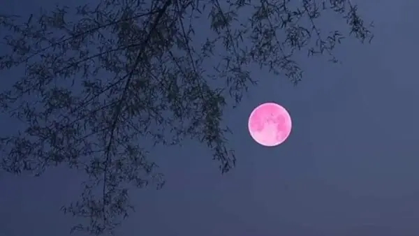 WhatsApp Image 2024 04 24 At 2.28.41 PM