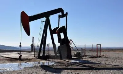 WhatsApp Image 2024 06 10 At 10.52.41 AM