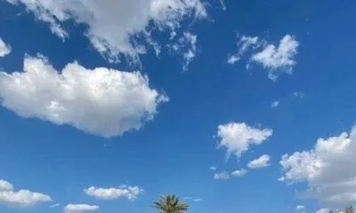 WhatsApp Image 2024 06 10 At 12.06.44 PM