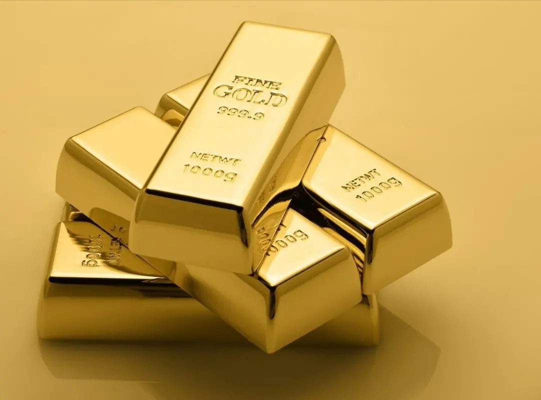 WhatsApp Image 2024 06 18 At 11.25.39 AM 1