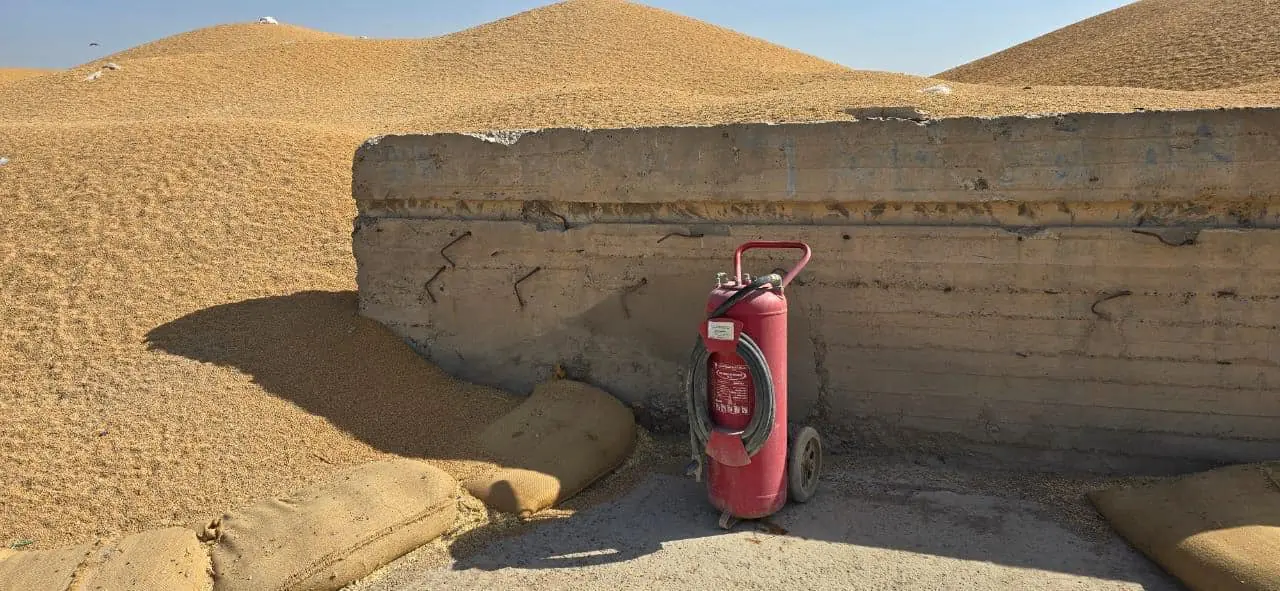 WhatsApp Image 2024 06 20 At 7.12.39 PM 1