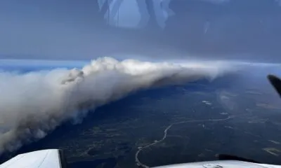 03a9394c 7af2 4f43 Ba34 A61b1a1387c8