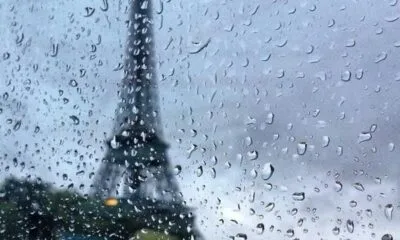 29b10a66 01cd 40a1 9d1e 1268a1e8e56a