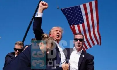 3268b1d9 5aec 4ceb B5ab 2972416783d8