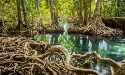 4394e8b0 39da 4db8 Beb3 A57e432581ca