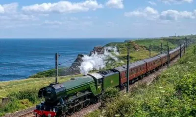 55e9edb5 6420 45e8 B207 Bff90e94280a