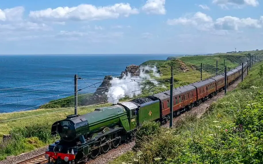 55e9edb5 6420 45e8 B207 Bff90e94280a