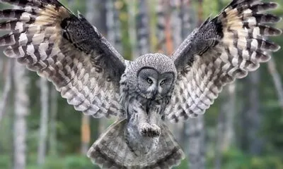 759c0c4e Ce61 4e09 889b 48d6c8477d82