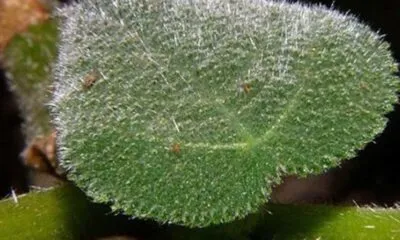 96b6ce49 E3b0 4319 9087 D26391822b50