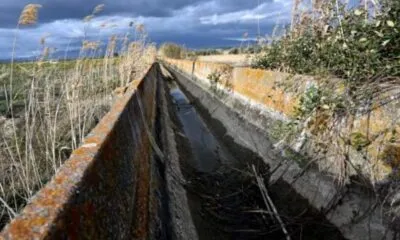 B7ac157d 918f 4c03 A9d6 F973f83fad84