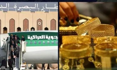 B969107d D81a 4ec7 B64f 76cbc0fdf72b