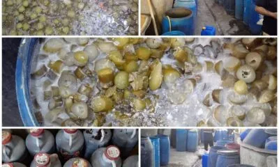 D1edf6f2 9557 480c 9f74 16593f98a520