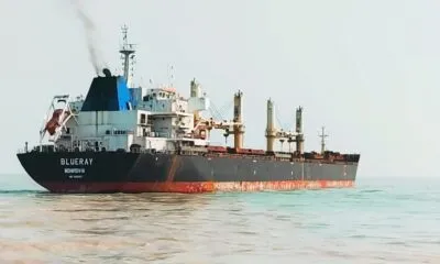 صورة واتساب بتاريخ 2024 08 24 في 12.11.15 53886e0a