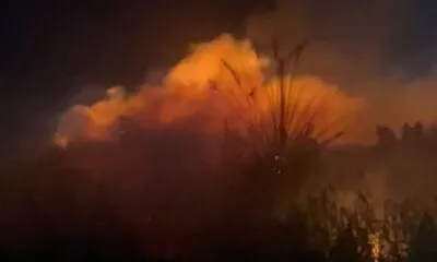 07d676e6 Fdfd 40a9 A296 D6a2193fb91d