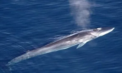 0de81294 Dfd3 4aa4 9a84 765ba87d5bab