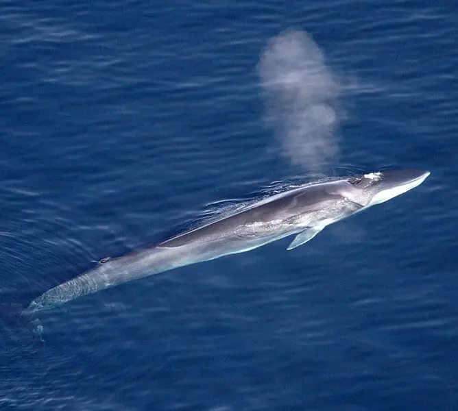 0de81294 Dfd3 4aa4 9a84 765ba87d5bab