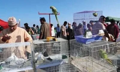 12f33ec5 A218 4978 Abe9 D8e5455e0770