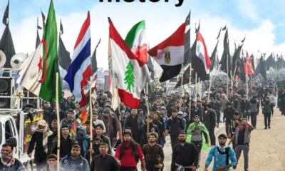 1630f1b6 053e 40a3 9952 Fd3bd3953e7e