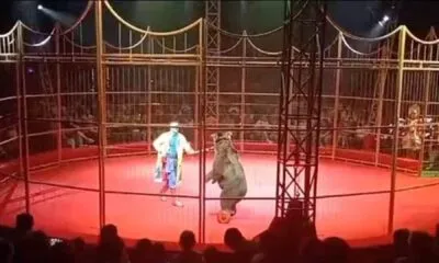 17a8ca58 0007 407f A64f 5214307754d9