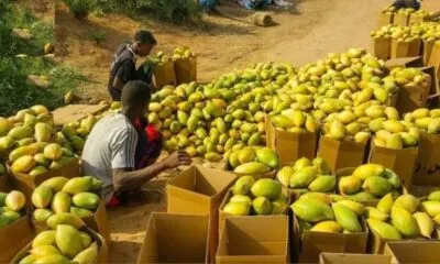 26c78eac 64d6 4dd7 9a90 00c9275e3c69