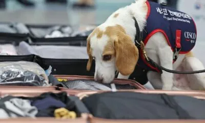 530e87a3 C479 4c58 Bf12 Be3a17f97c18