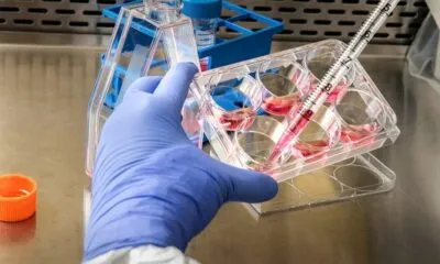 C5fff048 8d50 4efb 8431 08a79fc70083