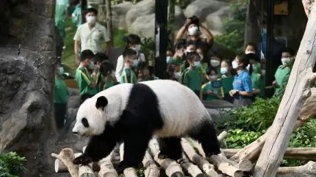 Dec2f485 79bc 4b36 B582 Cfd9d9728af0