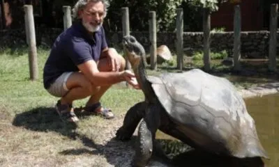 F076b48c 60df 475c 95fd B899209f6c2a