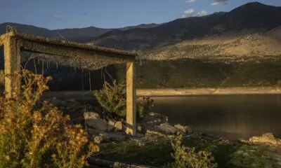 06891ea3 140c 419d A72f 2af7d9b39c6e