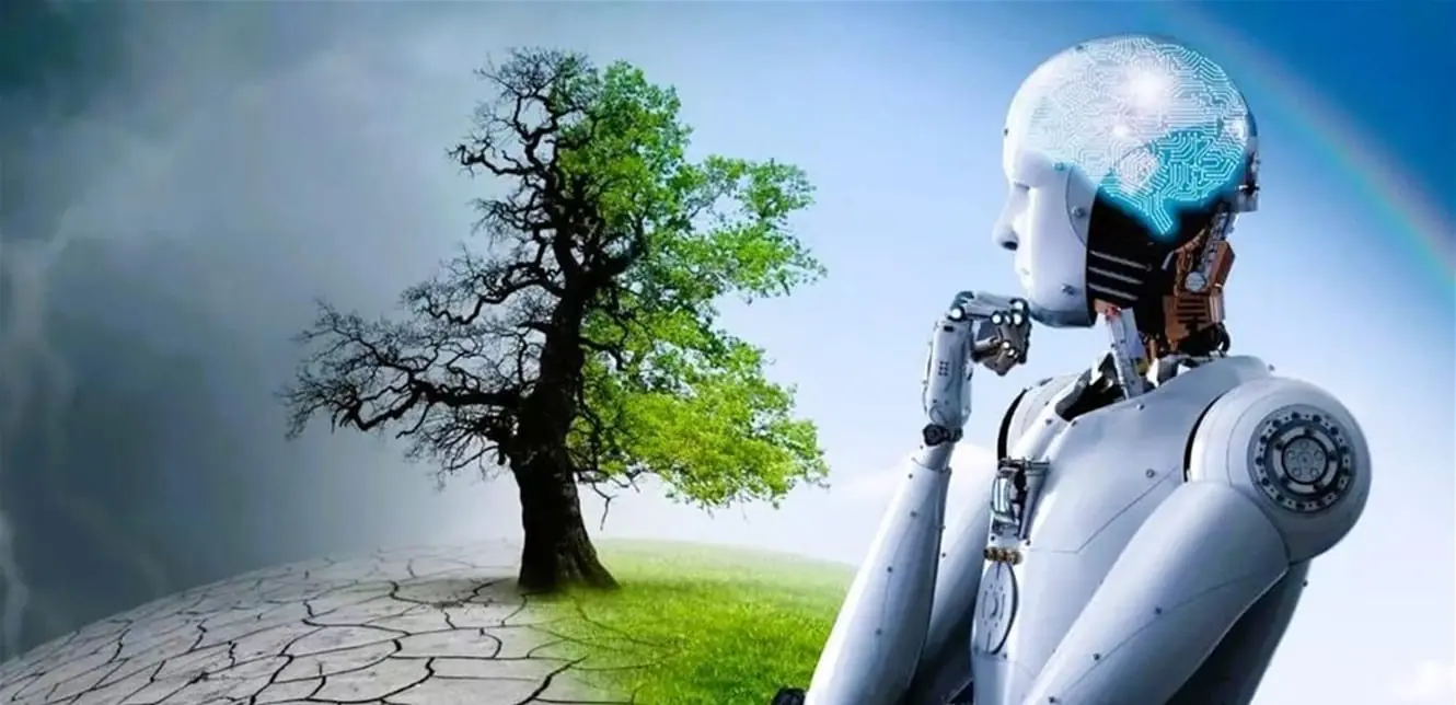 14a50165 Cf63 4bb0 B9a6 4a40bdc3e06c