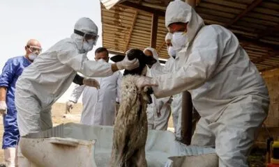 Cd50b473 E102 48e6 979e 6ba714b5eae6