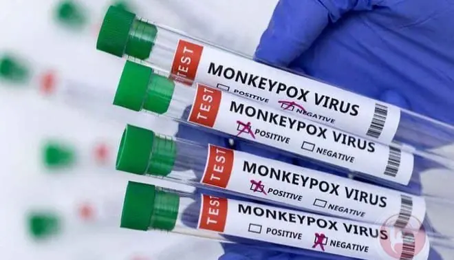 F9f8dd49 4f42 4e48 B98c Bc2c633656a3