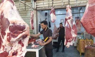 19b49a19 11dd 4bb6 8e68 1c1ed3ebcde2 1