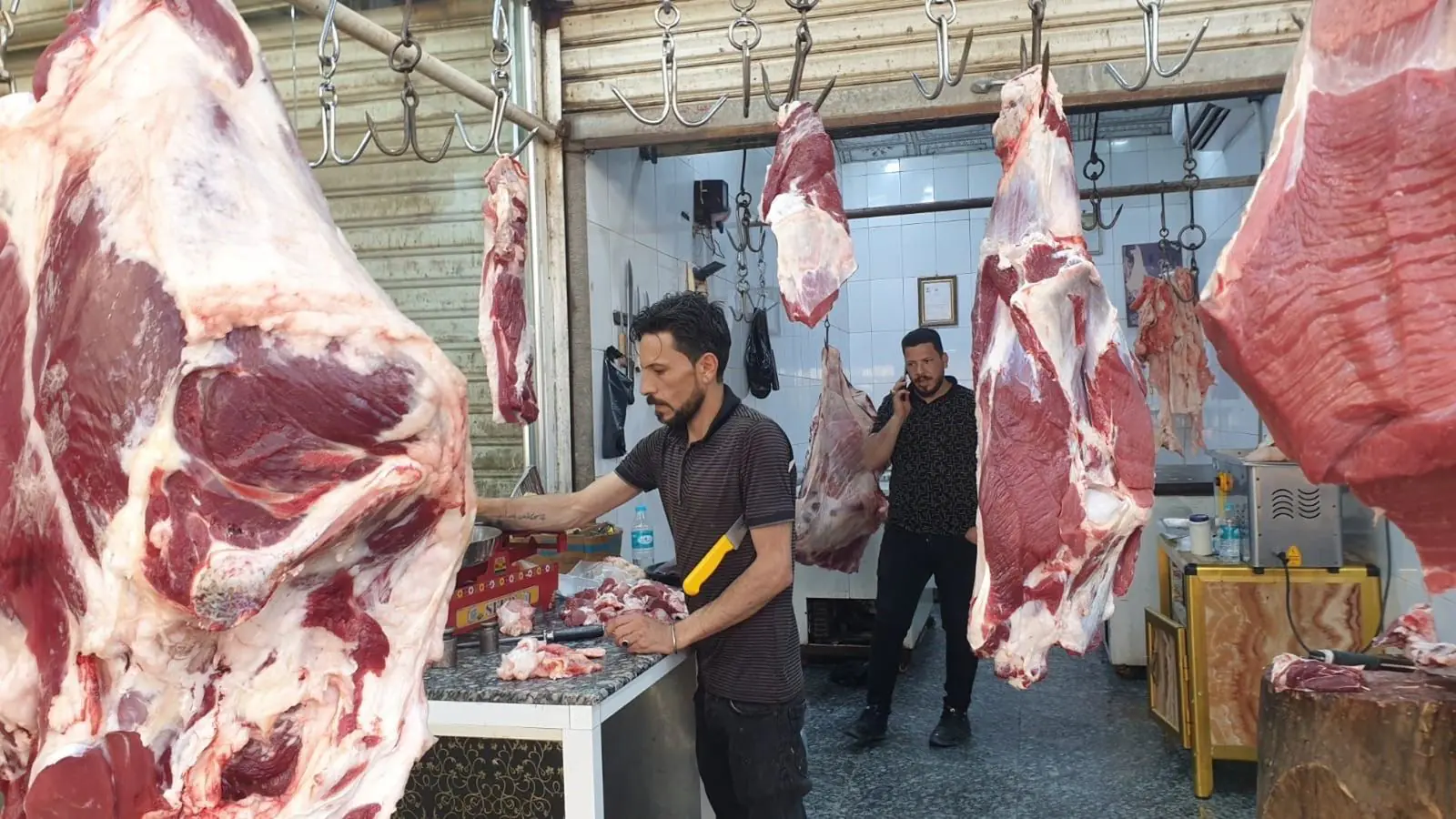 19b49a19 11dd 4bb6 8e68 1c1ed3ebcde2 1